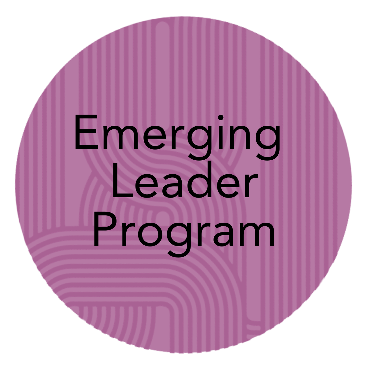 Emerging Leader