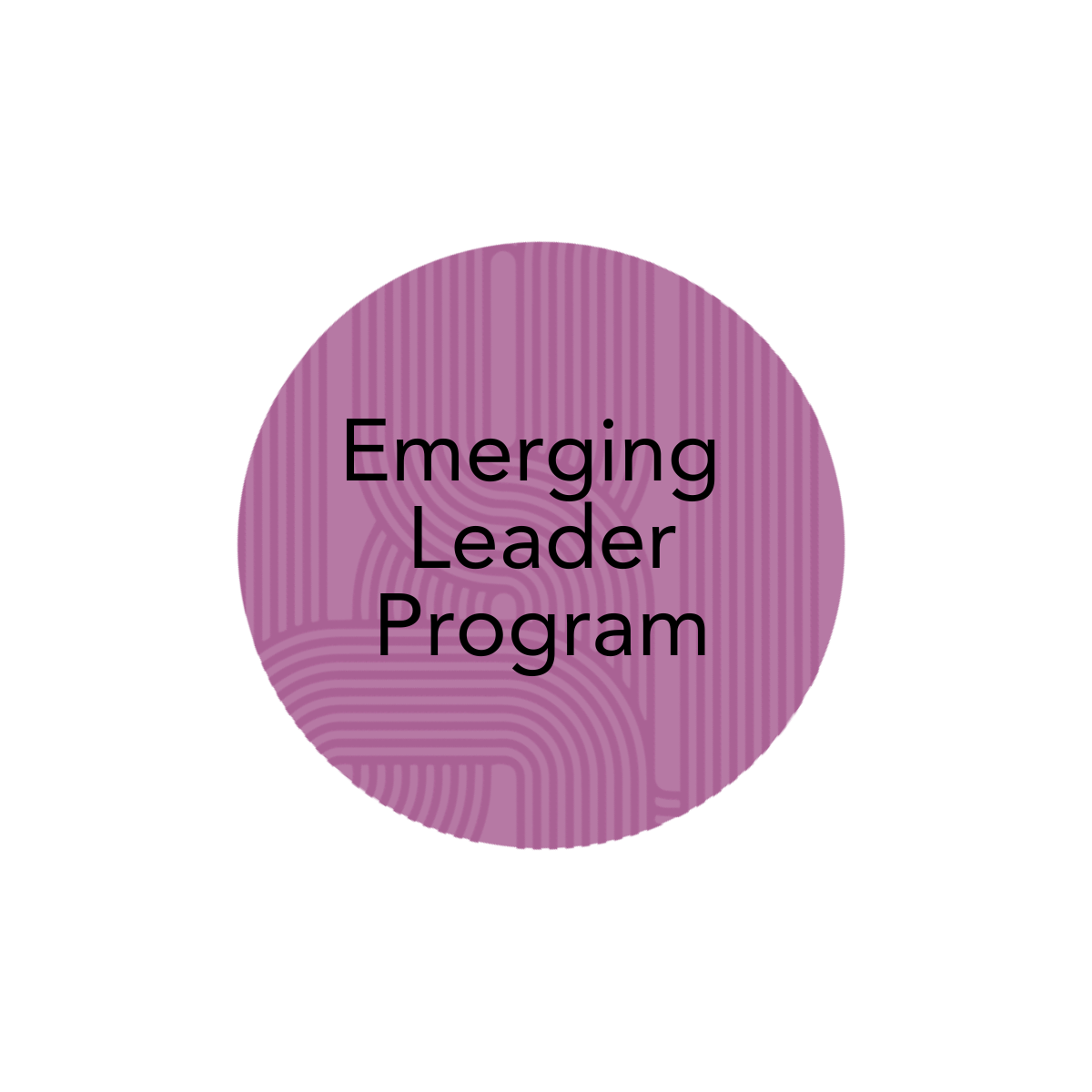 Emerging Leader