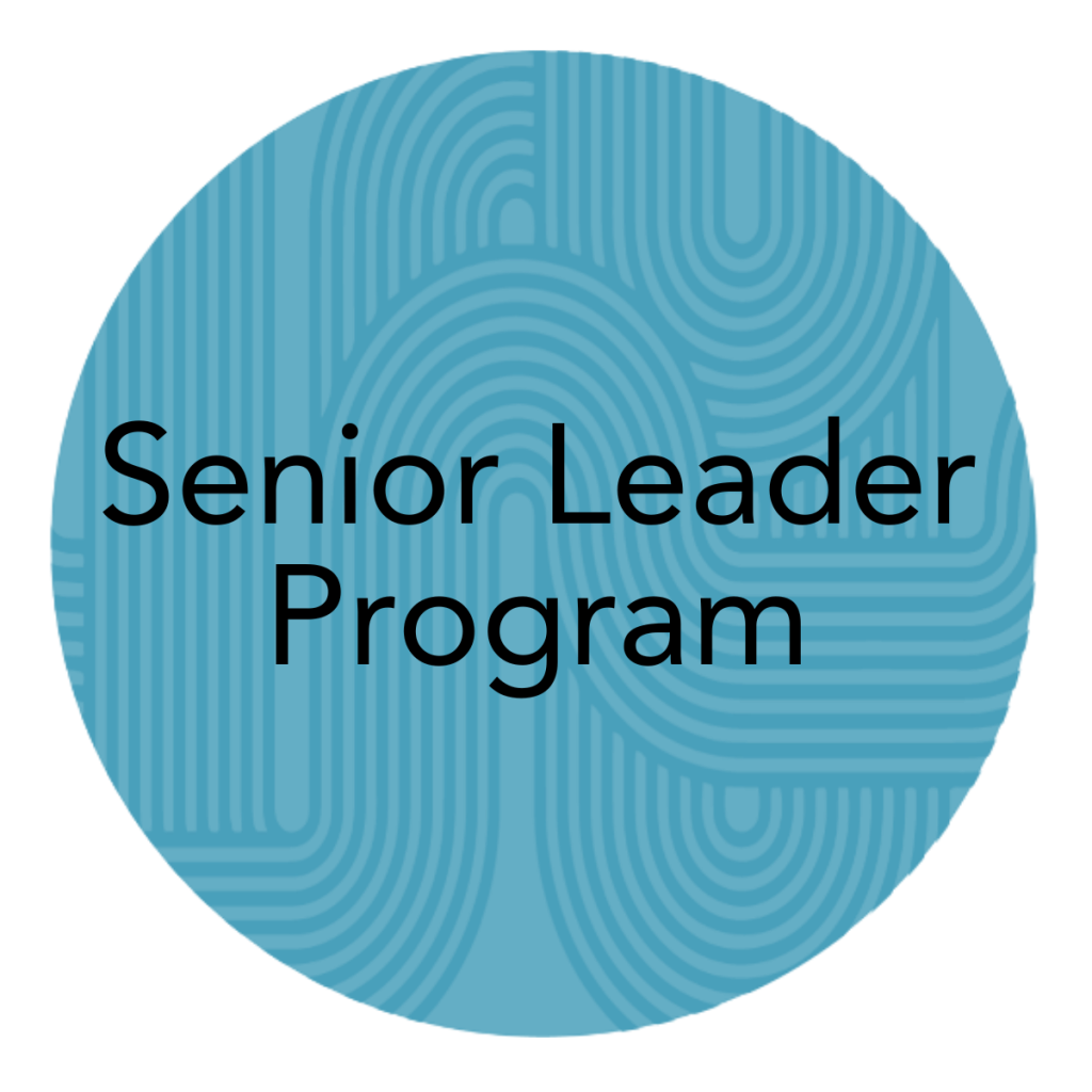 Ai Leadership Development Leadership Excelleration