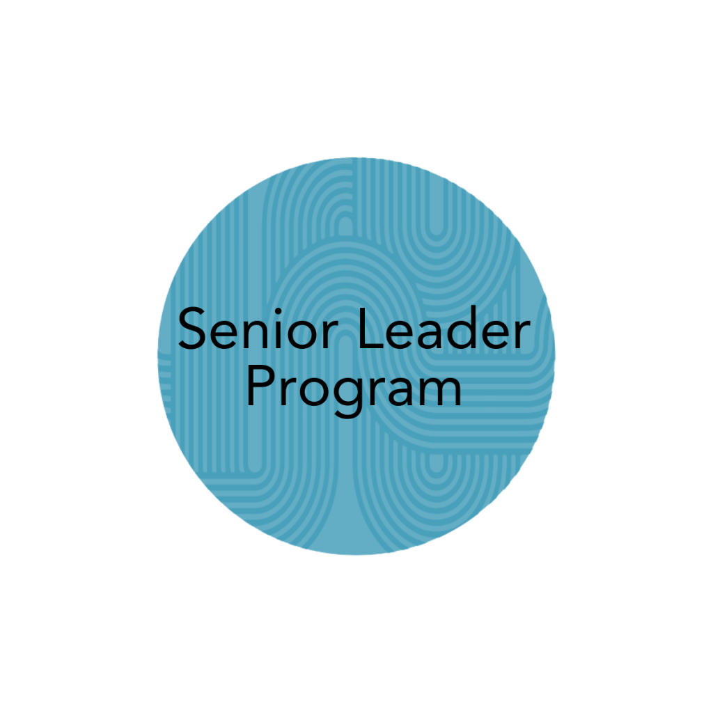 Ai leadership development leadership excelleration